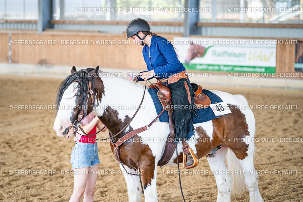 DSC03285 | Pferdegrafie