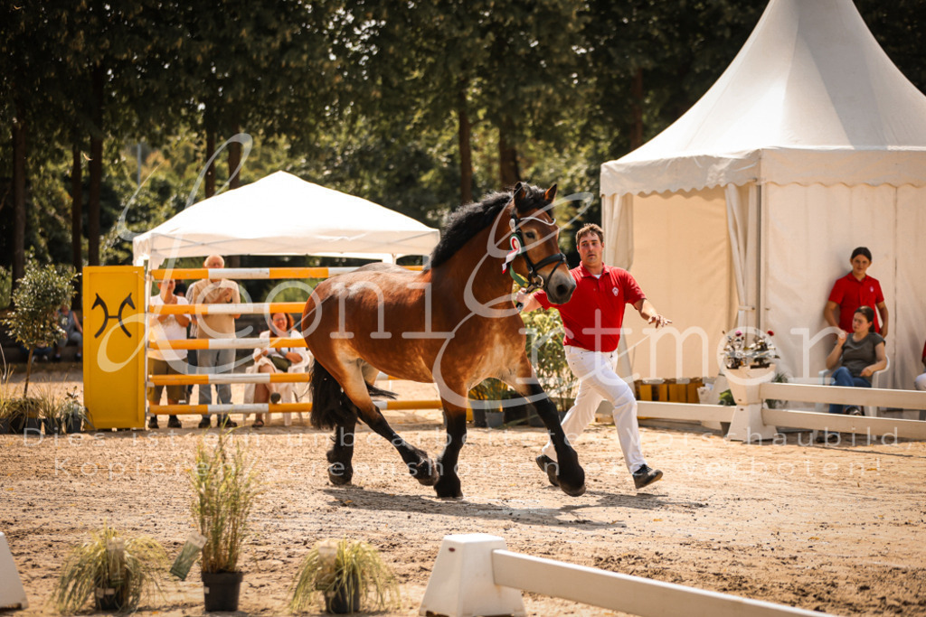 1.Sa00073 | Leoni Ertmer Photography - Realisiert mit Pictrs.com