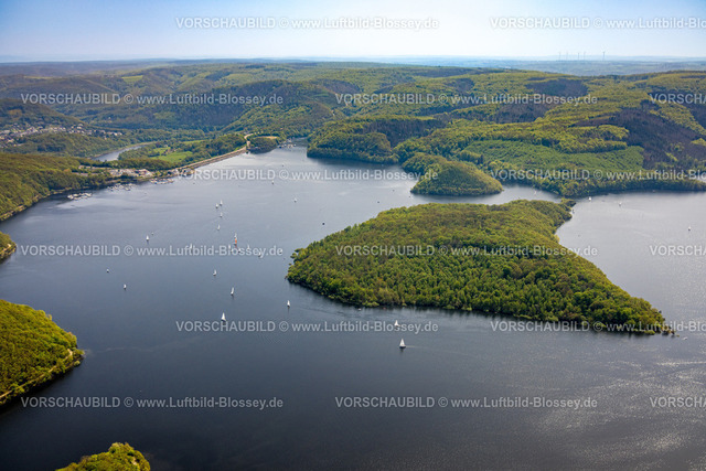 Heimrath240501773Rursee | Luftbild, Rursee mit Insel Eichert, Staumauer Rurtalsperre Schwammenauel und Rursee-Schifffahrt mit Segelbooten, Waldgebiet Hügel und Täler, Nationalpark Eifel, Schmidt, Nideggen, Nordrhein-Westfalen, Deutschland