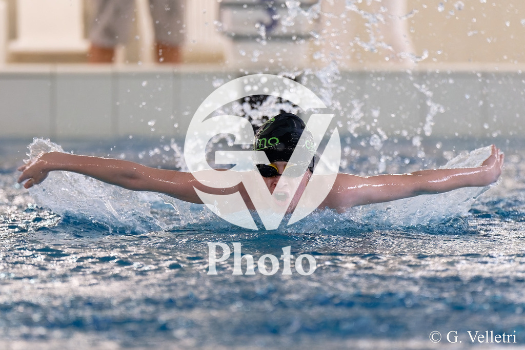 DSC_8346 | Velletri Photo