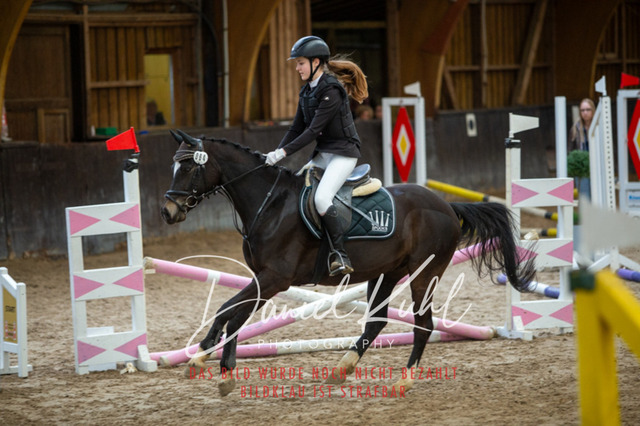 IMG_1809 | Turniersportfotografie; Pferdefotografie; Dressurfotografie