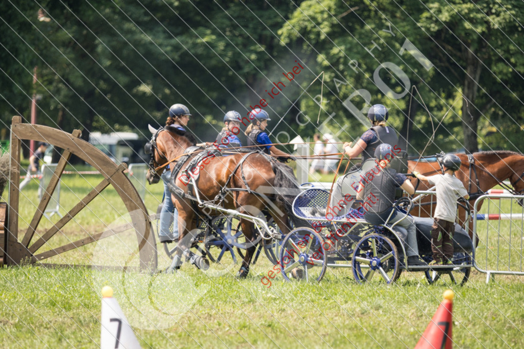 IMG_7912 | Sport-, Event- und Tierfotos in Profiqualität. Einfach auswählen, bestellen und herunterladen. Dein Moment – perfekt festgehalten.