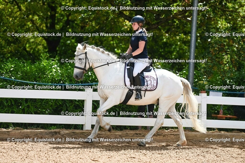 20230715_09_Dressur-WB_0092 | equistock