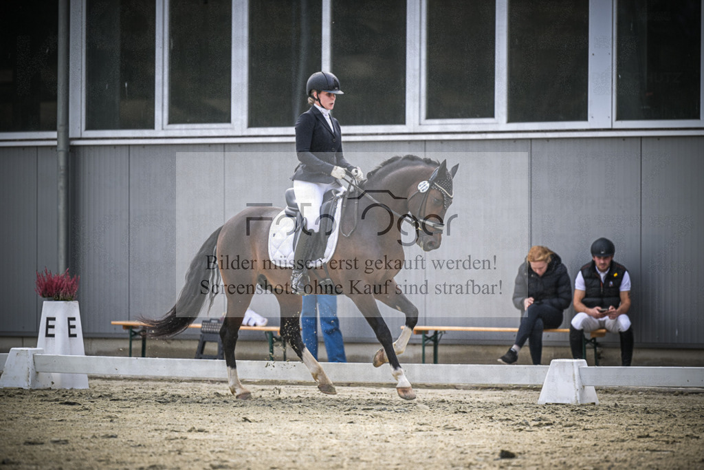 DOS_1178 | Entdecke hochwertige Reitturnierfotos von Foto Oger. Professionell, emotional und authentisch – jetzt Lieblingsmomente im Shop bestellen.Deutschlandweite Turnierfotografie. - Realisiert mit Pictrs.com