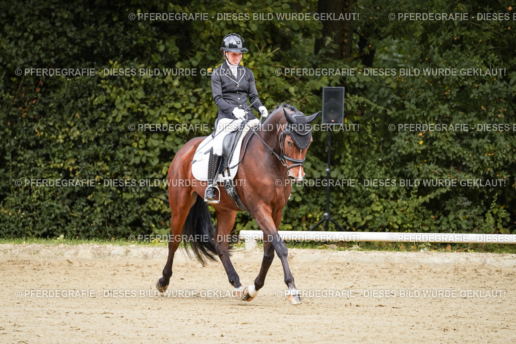 DSC09096 | Pferdegrafie