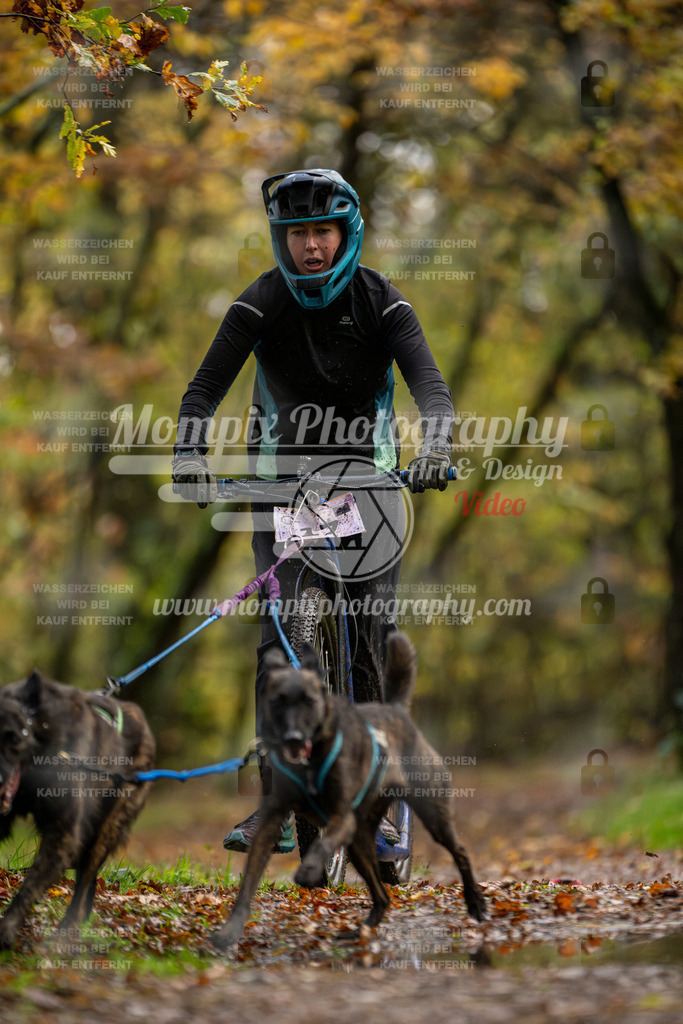 MompixPhotography_Bischwiller23_DS2-18 | PayLife