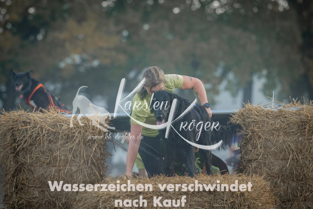 0828_ZZ97876 | kk-dogfotos