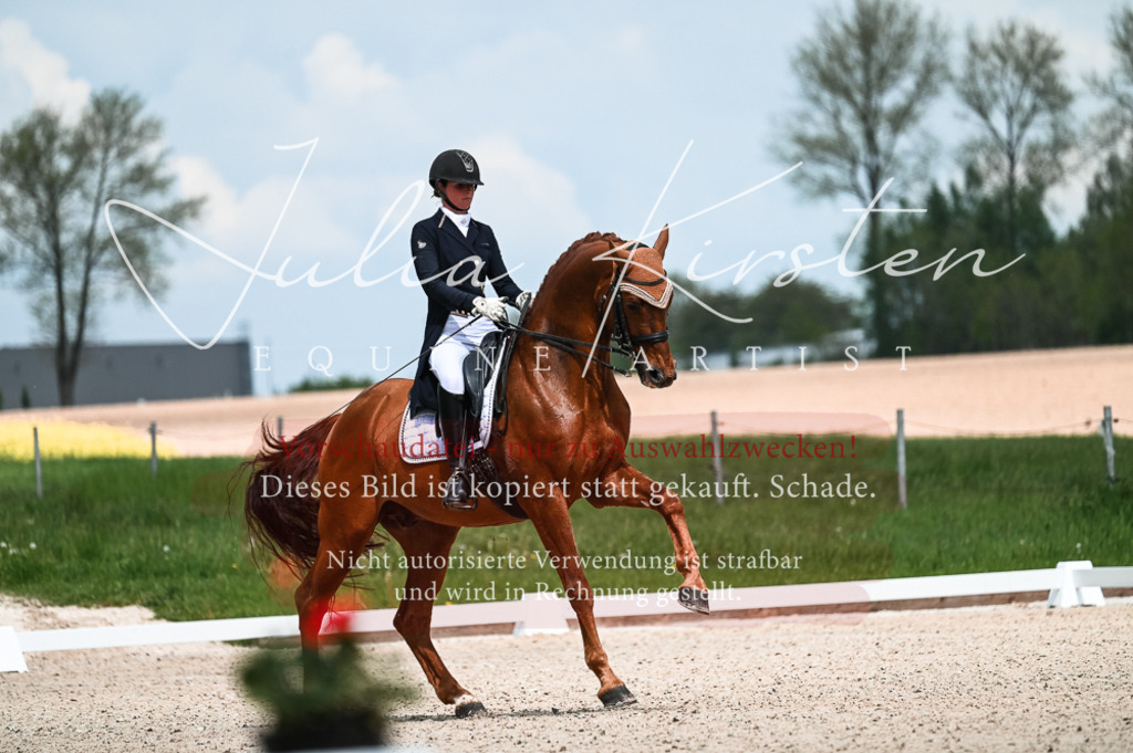 20230514_JK-Röhrsdorf-21-043 | Pferde- und Turnierfotografie in Westsachsen. Pferdeportraits, Auftragszeichnungen und intuitive Kunst.