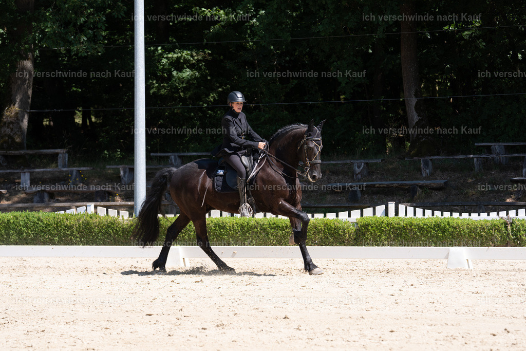 WS_DR_132_sinafilmart_IN09454 | working equitationturnier fotograf videograf stoibphotography marixx film working equitation deutschland reitsport turnierfotografie eventfotografie equestrian events