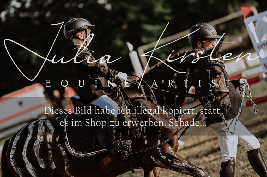 DSC_0201 | Pferde- und Turnierfotografie in Westsachsen. Pferdeportraits, Auftragszeichnungen und intuitive Kunst.