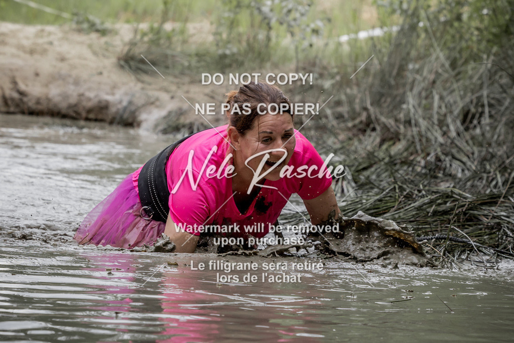 nelerasche_so1445-1515_343 | nelerasche