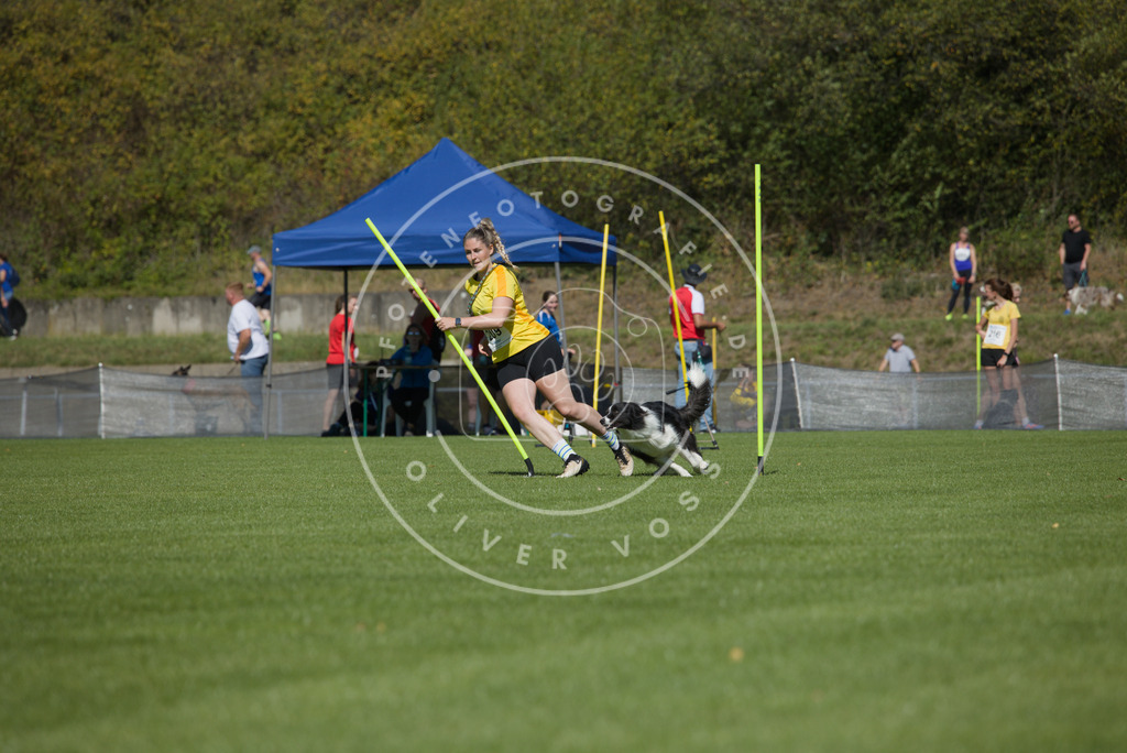 0L8A5846 | Hundefotografie, Tierfotograf, Pfotenfotografie, Fotoshooting Hund, Hunde Portrait, Hundesport, Hundeportraits, Heideshooting, Hunde, Sportfotograf, Hundefotograf, Turnierhundsport, THS,  - Realisiert mit Pictrs.com