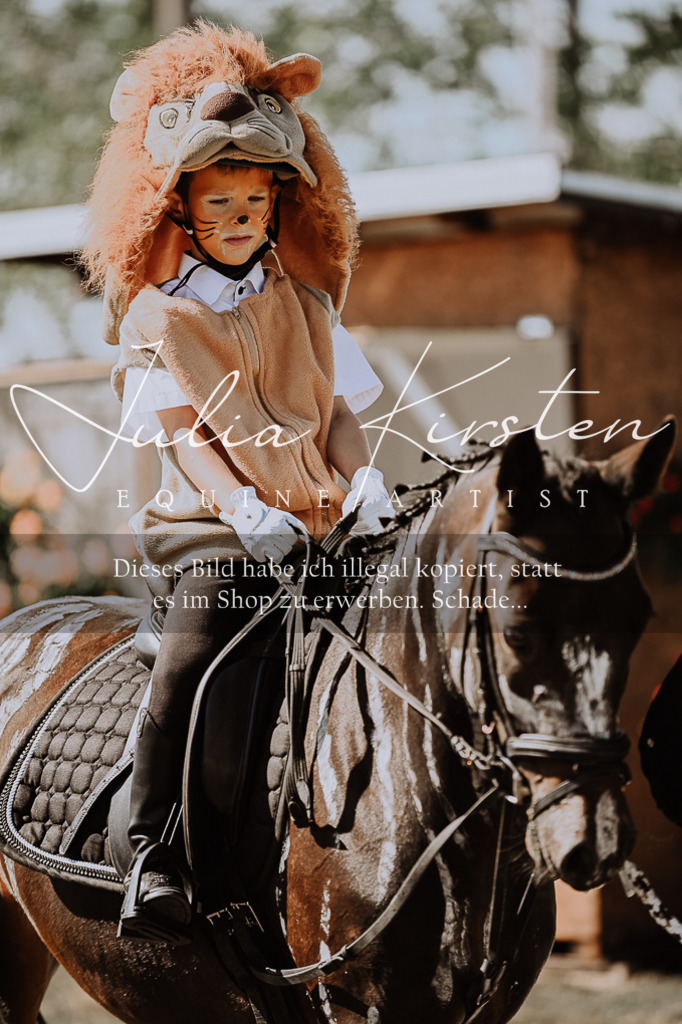 DSC_9110 | Pferde- und Turnierfotografie in Westsachsen. Pferdeportraits, Auftragszeichnungen und intuitive Kunst.