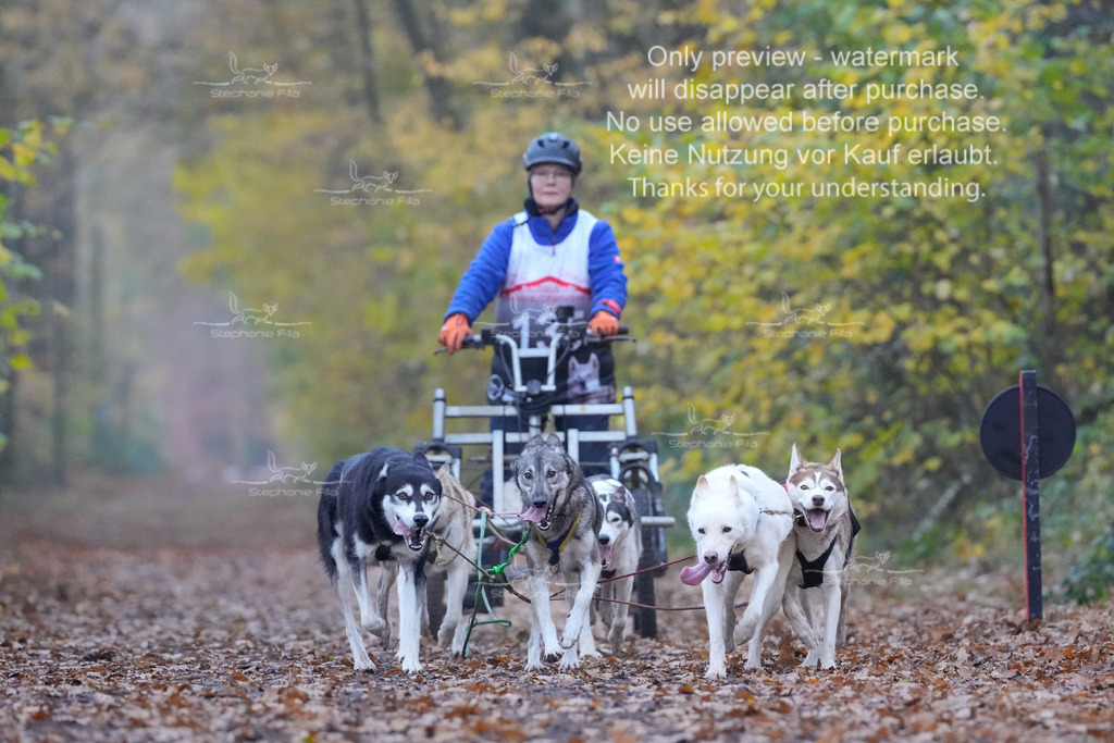 Rigs4bis8So-96 | stephaniefillaphotographie - Realisiert mit Pictrs.com