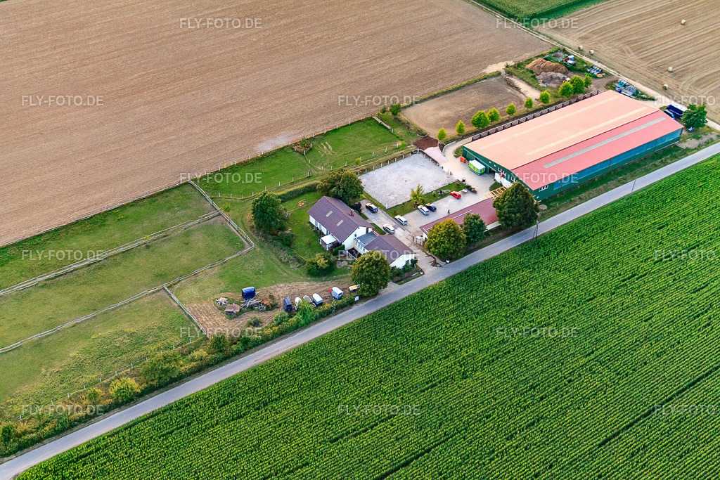 Reitsportanlage Fohlenhof | Luftbild: Reitsportanlage Fohlenhof in Steinweiler im Bundesland Rheinland-Pfalz in Deutschland. Foto: IMG_43939.jpg vom 02.08.2011 durch Werner Riehm/FLY-FOTO.de - Realisiert mit Pictrs.com