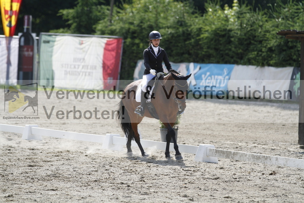 _MG_2145 | equestrian-live-com