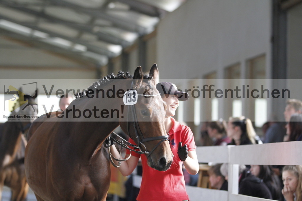 _MG_1070 | equestrian-live-com