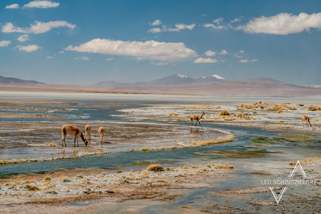 10_Fotografie_Leo_Schindzielorz_BOL_Uyuni_20240414__A650186_org | Atmosphärische Landschaftsbilder & Drohnenaufnahmen aus dem Allgäu, Tirol, Südtirol & der Schweiz – ideal für Leinwanddrucke & zur stilvollen Raumgestaltung. - Realisiert mit Pictrs.com