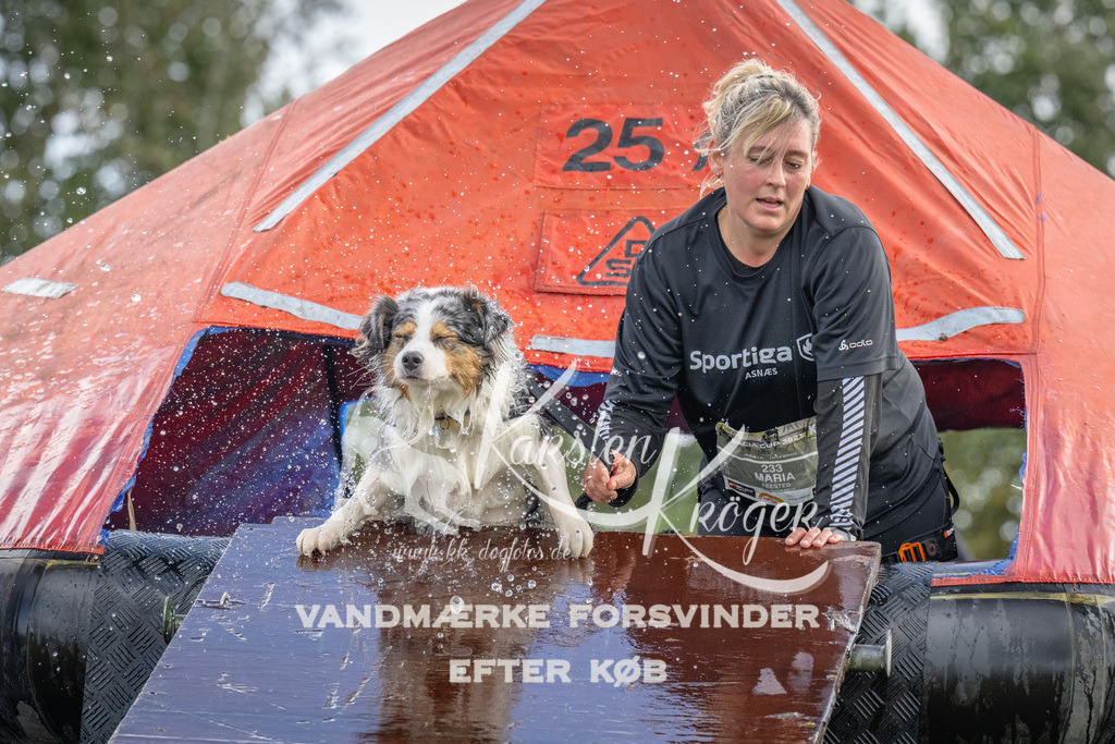 1217-93191 | kk-dogfotos