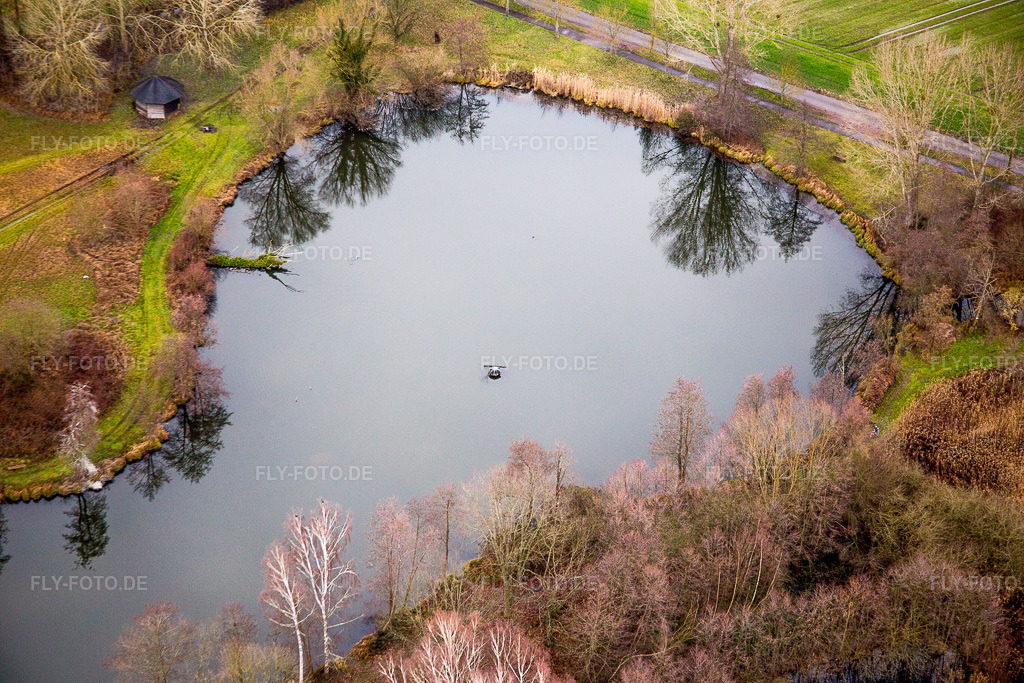 Luftbild: Biotop Teichanlagen im Winter mit Uferbäumen in Steinfeld im Bundesland Rheinland-Pfalz in Deutschland. Foto: IMG_085875.jpg vom 08.01.2016 durch Werner Riehm/FLY-FOTO.de
