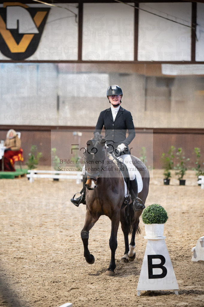 Hallenreittunier Voxtrup 2023 | Entdecke hochwertige Reitturnierfotos von Foto Oger. Professionell, emotional und authentisch – jetzt Lieblingsmomente im Shop bestellen.Deutschlandweite Turnierfotografie. - Realisiert mit Pictrs.com