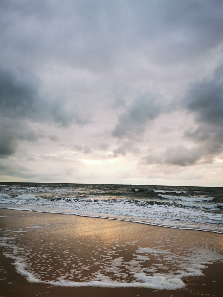 IMG_20240924_191857 | Pandiboo - Realisiert mit Pictrs.com