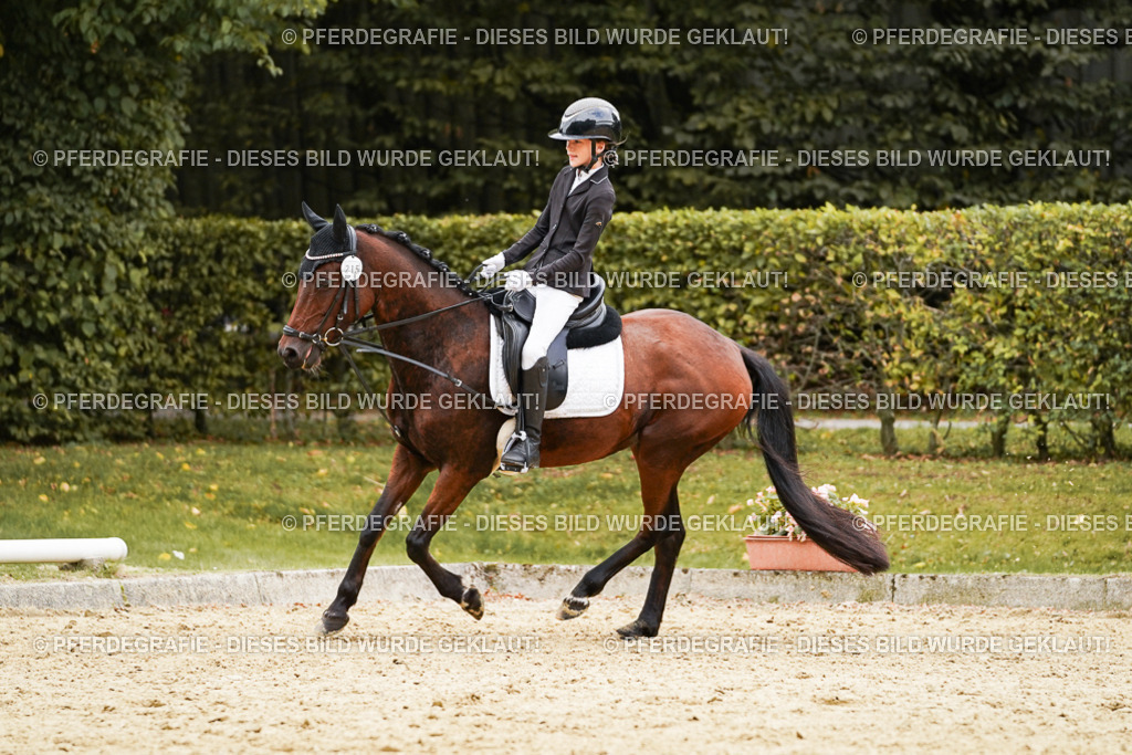 DSC00552 | Pferdegrafie