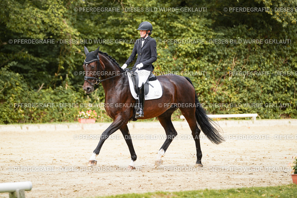 DSC01866 | Pferdegrafie