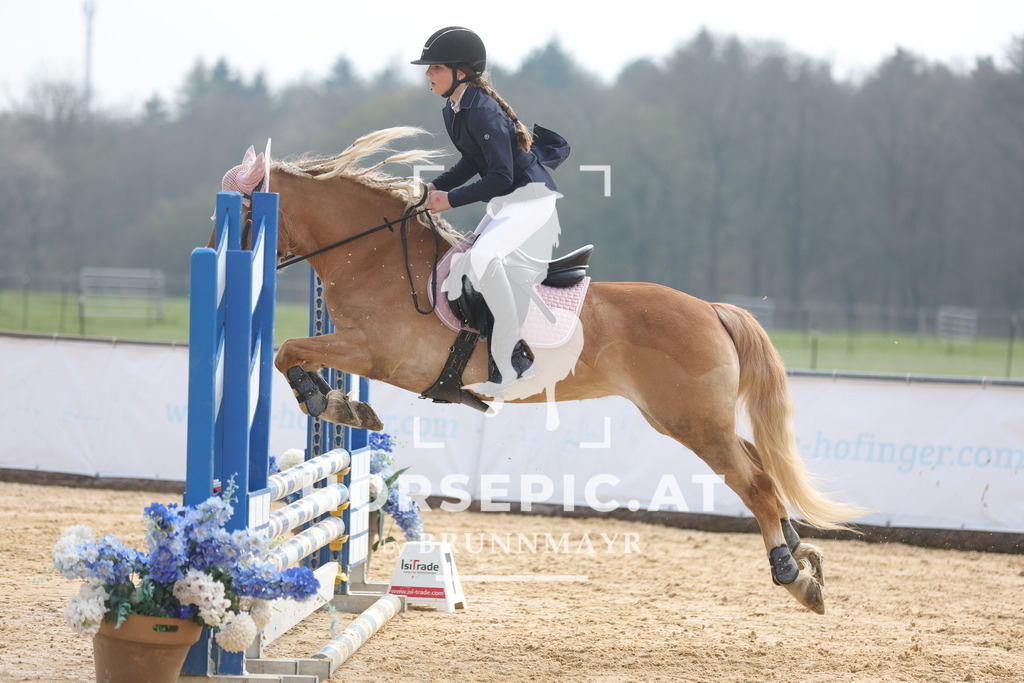 0P6A9011 | Willkommen bei Brunnmayr - Design & Fotografie – Ihrem Spezialisten für Reitturniere und Pferdeveranstaltungen in Oberösterreich, Salzburg und Bayern! Seit über 17 Jahren sind wir leidenschaftlich dabei.