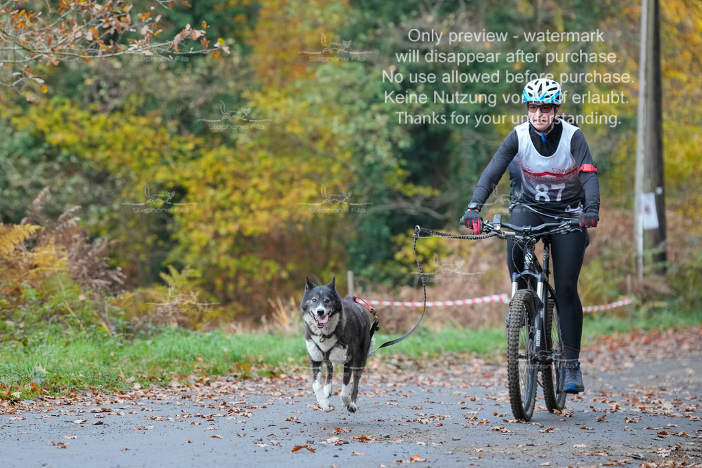 Bike_So-178 | stephaniefillaphotographie - Realisiert mit Pictrs.com