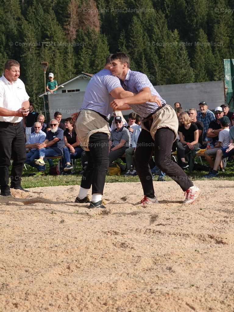 DSC05811 | Schwingen - Realisiert mit Pictrs.com