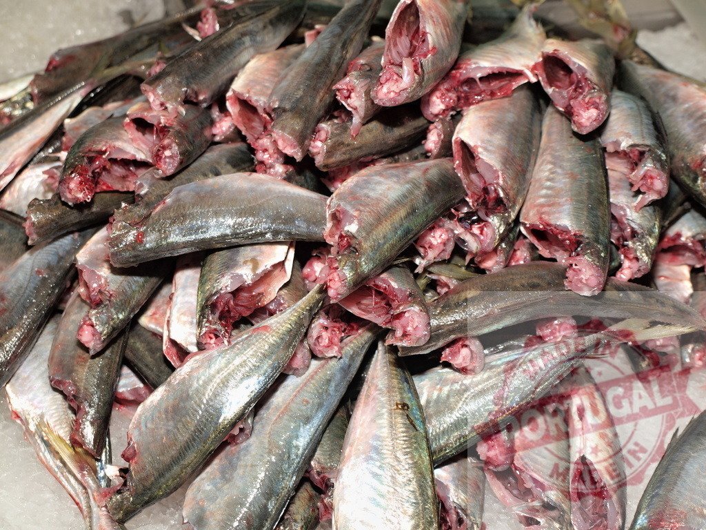 Gutted fresh fish for sale at market | Gutted fish lying on ice at a fresh seafood market stall - Realisiert mit Pictrs.com