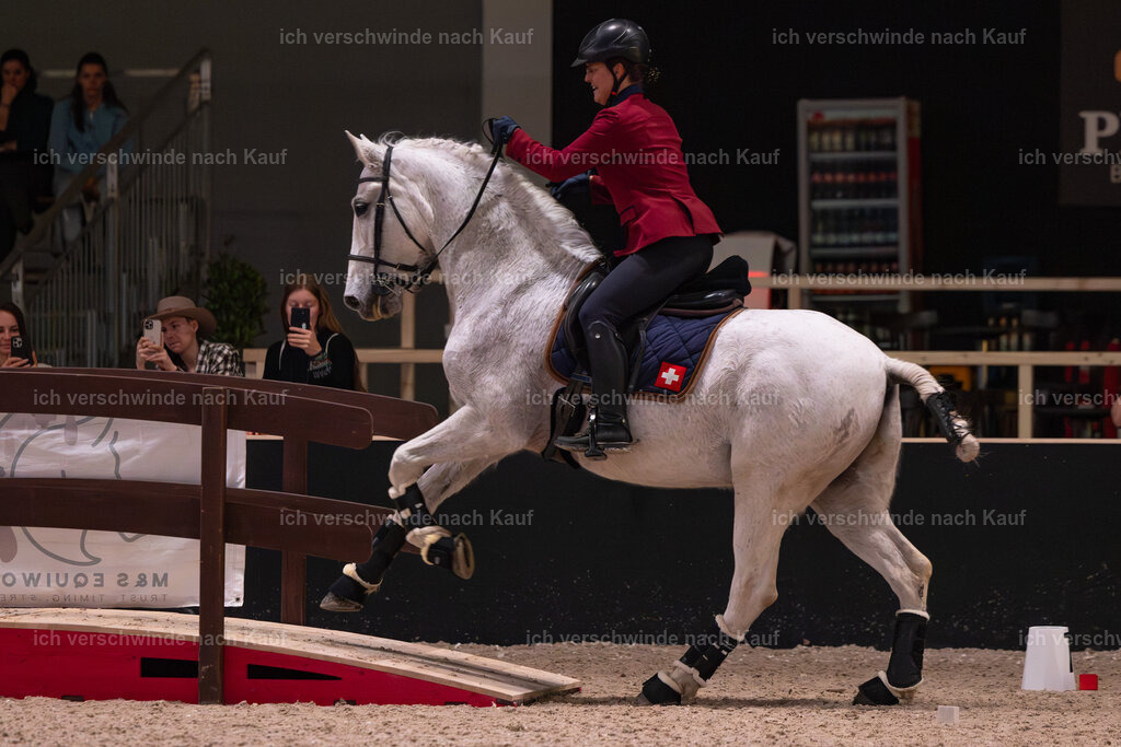 JoseraCup-196 | working equitationturnier fotograf videograf stoibphotography marixx film working equitation deutschland reitsport turnierfotografie eventfotografie equestrian events