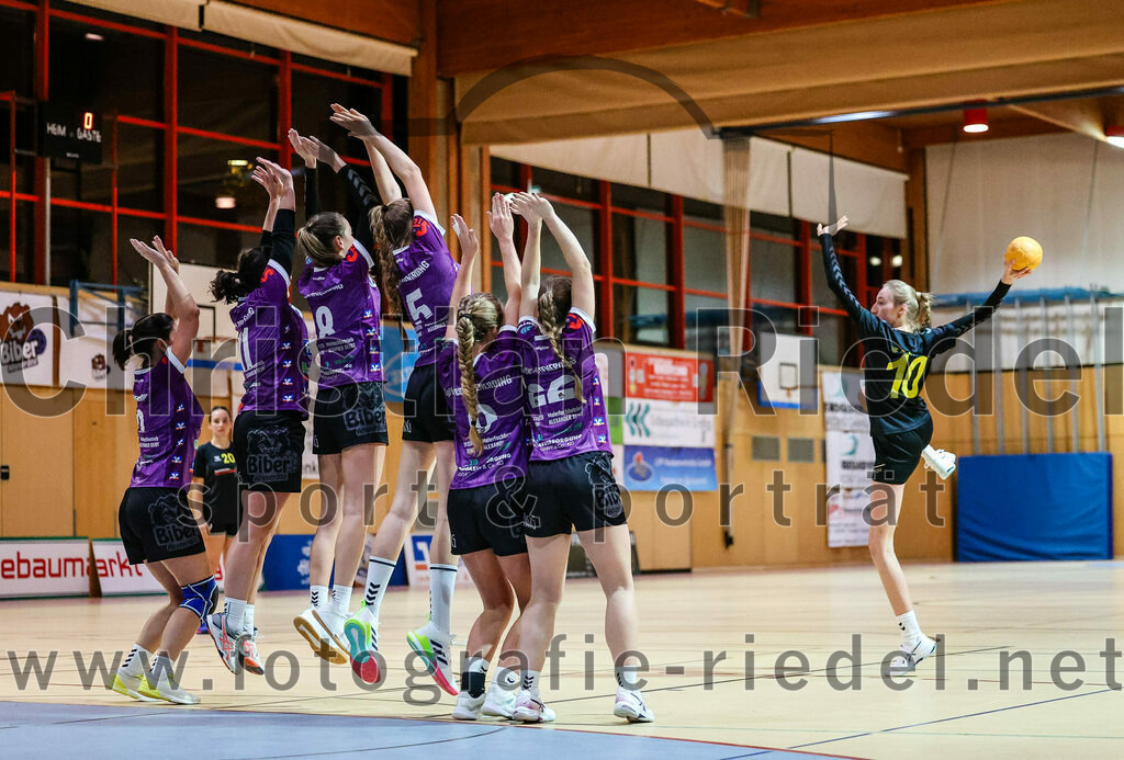 2023-12-17_087_SpVgg_Altenerding_II_gegen_HF_Scheyern | Erding, Deutschland, 17.12.2023:
Handball, Bezirksliga Frauen Altbayern 2023 / 2024, 9. Spieltag, SpVgg Altenerding II gegen HF Scheyern, Endergebnis: 22:26

Grit Kschischow (SpVgg Altenerding, #2), Kati Gottschalk (SpVgg Altenerding, #11), Lena Graf (SpVgg Altenerding, #8), Greta Felbinger (SpVgg Altenerding, #5), Elisabeth Bauschmid (SpVgg Altenerding, #9), Alena Seubert (HF Scheyern, #10)

Foto: Christian Riedel / fotografie-riedel.net