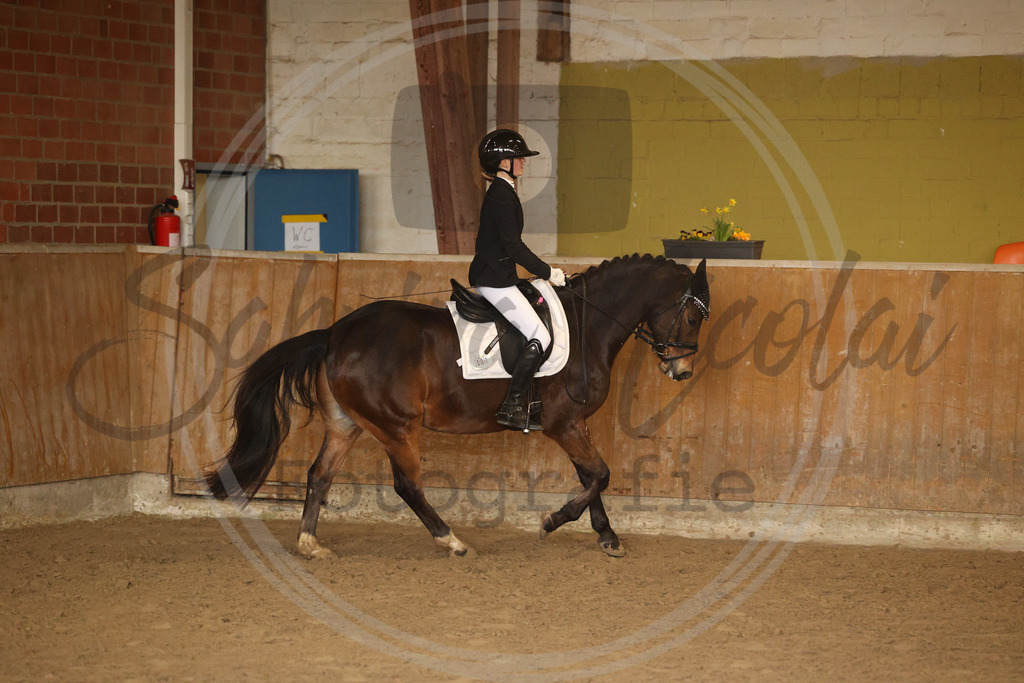 994A9133 | sabrinanicolaifotografie - Realisiert mit Pictrs.com