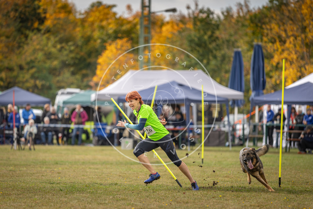 Pfotenfotografie_DV3A6995 | Hundefotografie, Tierfotograf, Pfotenfotografie, Fotoshooting Hund, Hunde Portrait, Hundesport, Hundeportraits, Heideshooting, Hunde, Sportfotograf, Hundefotograf, Turnierhundsport, THS,  - Realisiert mit Pictrs.com