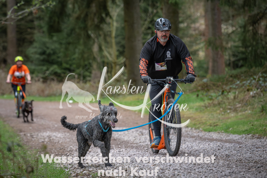 1019_ZZ92257 | kk-dogfotos