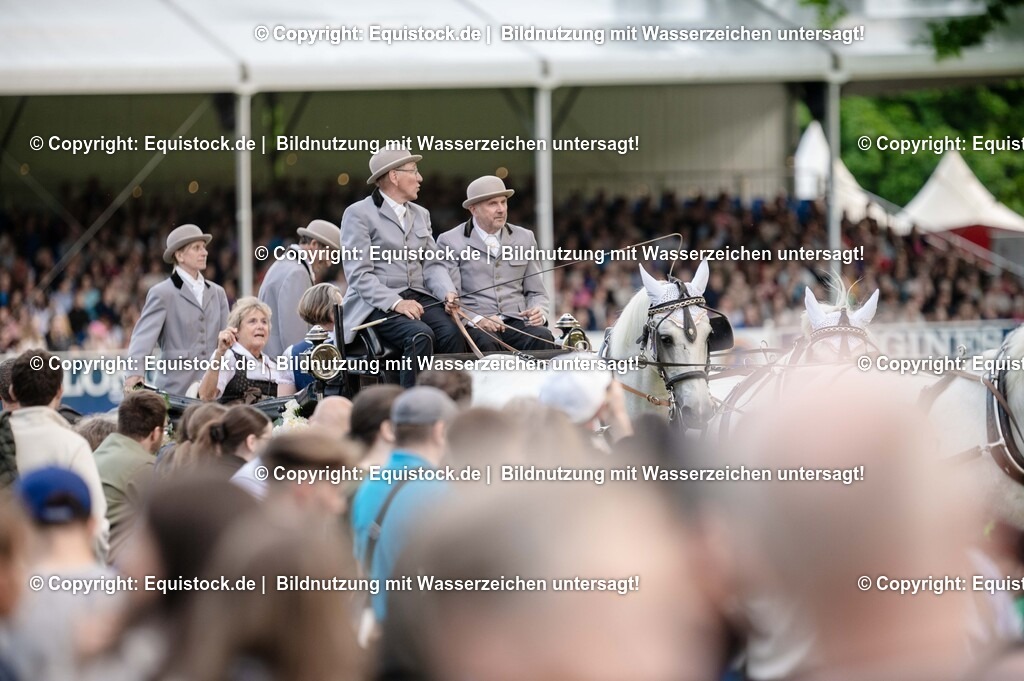 20250606_Lange-Pferdenacht_0252 | Foto: Thomas Hartig