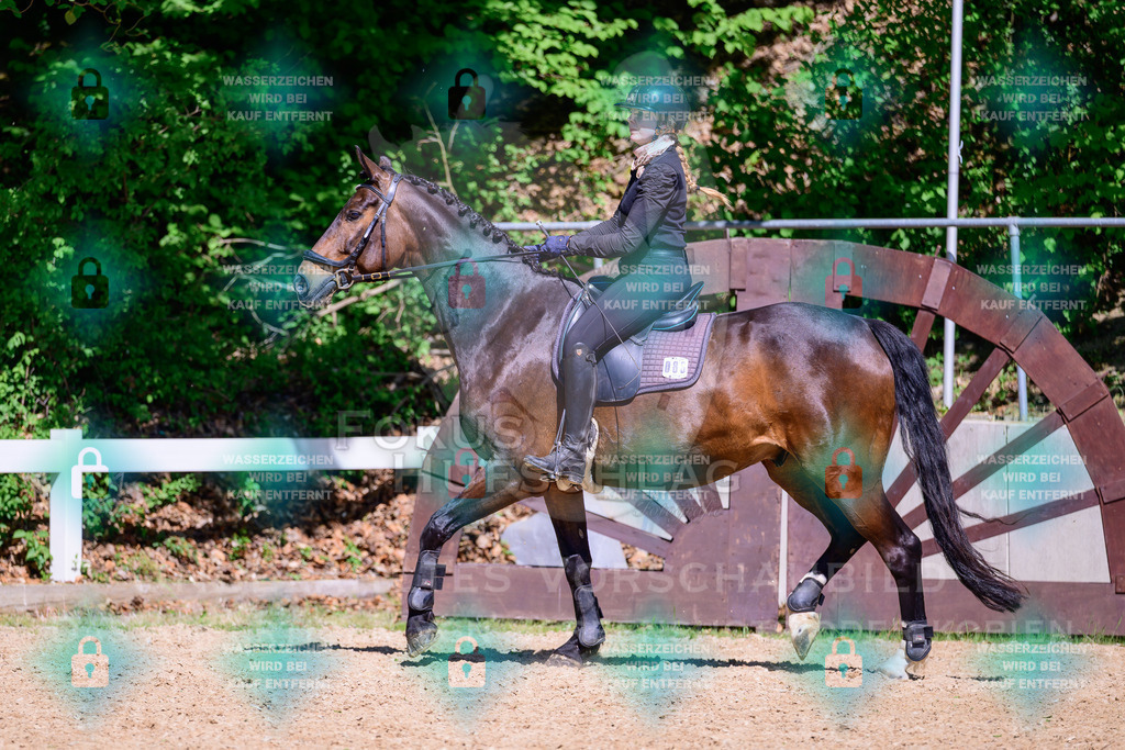 01052026-Giesenbach-02-Stiltrail-0459 | Fokus Hufschlag Fotografie - Realisiert mit Pictrs.com