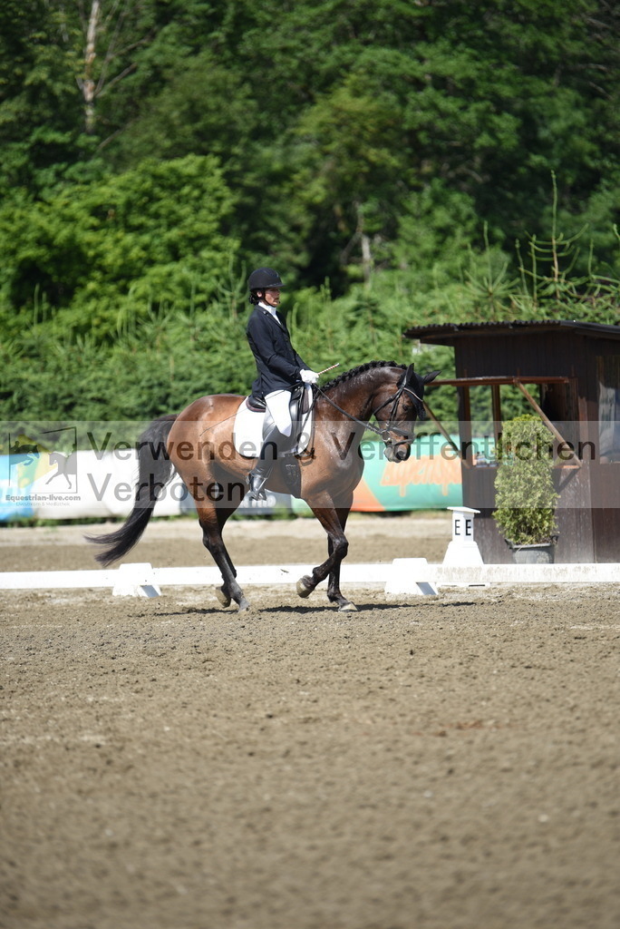 DSC_0108 | equestrian-live-com