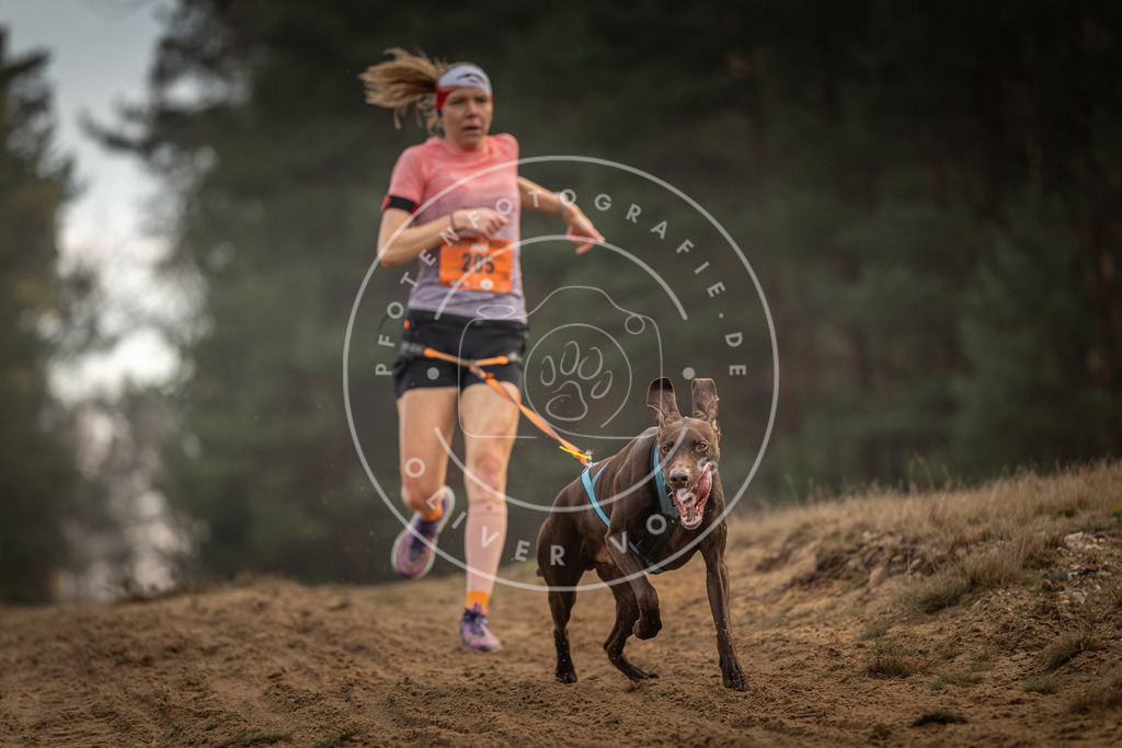 Pfotenfotografie_DV3A5067 | Hundefotografie, Tierfotograf, Pfotenfotografie, Fotoshooting Hund, Hunde Portrait, Hundesport, Hundeportraits, Heideshooting, Hunde, Sportfotograf, Hundefotograf, Turnierhundsport, THS,  - Realisiert mit Pictrs.com