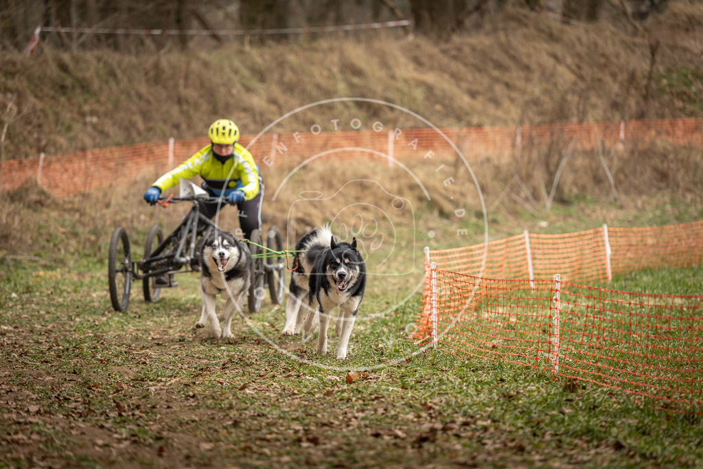 Pfotenfotografie_DV3A8609 | Hundefotografie, Tierfotograf, Pfotenfotografie, Fotoshooting Hund, Hunde Portrait, Hundesport, Hundeportraits, Heideshooting, Hunde, Sportfotograf, Hundefotograf, Turnierhundsport, THS,  - Realisiert mit Pictrs.com