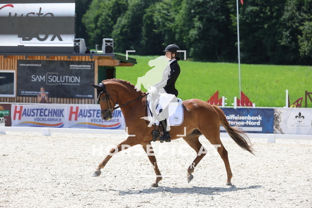 0P6A1200 | Willkommen bei Brunnmayr - Design & Fotografie – Ihrem Spezialisten für Reitturniere und Pferdeveranstaltungen in Oberösterreich, Salzburg und Bayern! Seit über 17 Jahren sind wir leidenschaftlich dabei.