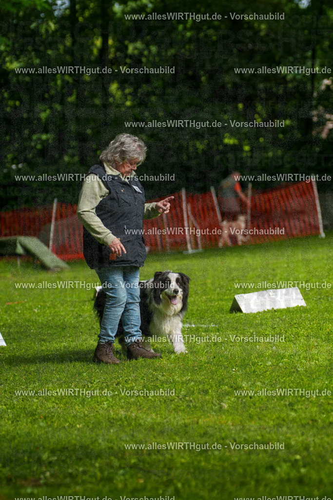 @allesWIRTHgut_Tierfotografie - www.allesWIRTHgut.de - 7R502723 | Professionelle Tierfotografie in Mönchengladbach von Daniel Wirth (allesWIRTHgut). Liebevolle & natürliche Bilder von Hunden & Katzen für unvergessliche Erinnerungen.