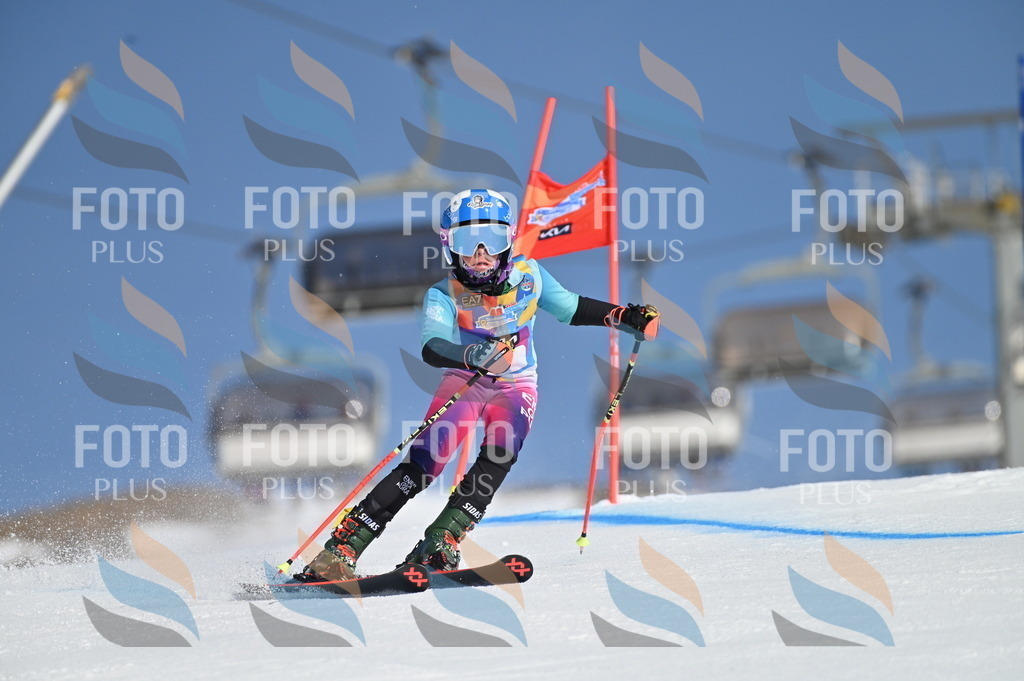 BGV_7560 | holidayphoto