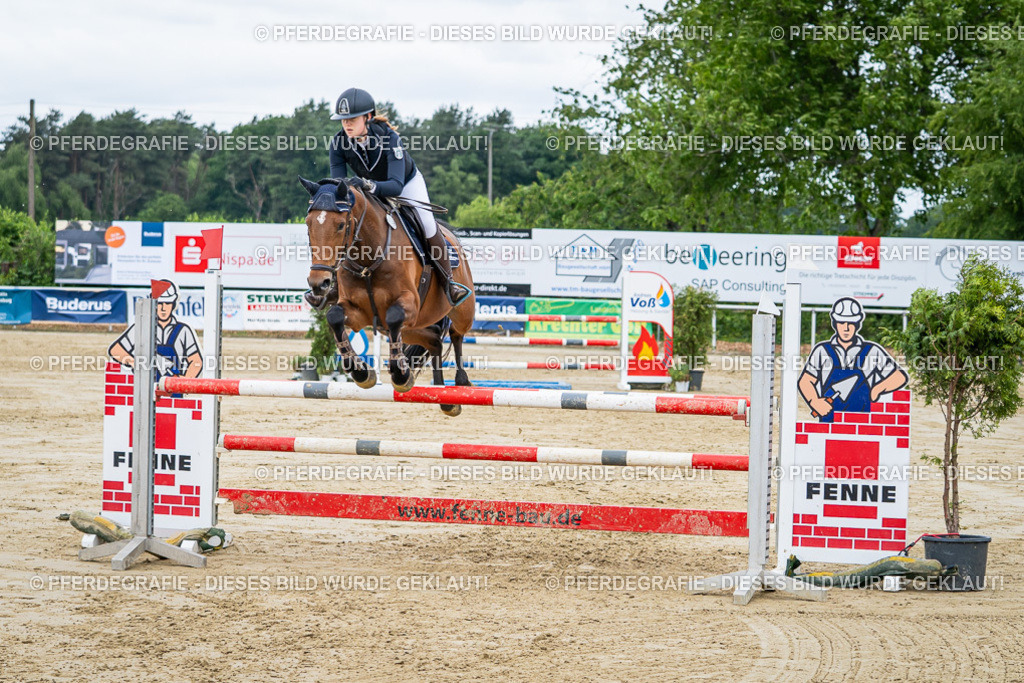 DSC04575 | Pferdegrafie