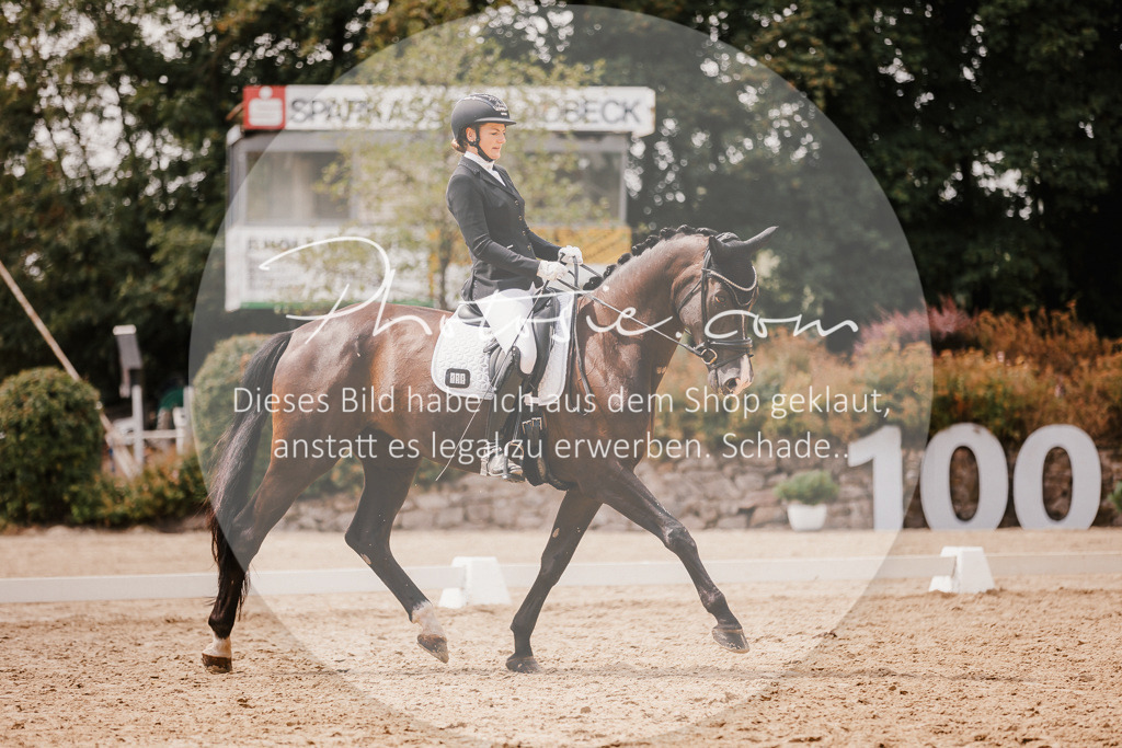 3I6A6279 | Stimmungsvolle Portraits und Reitsportfotografie im Ruhrgebiet und im Münsterland.

Pferdefotografie, Hundefotografie, Tierfotografie, Reportagen, Portraits von Tier und Mensch, Turnierfotografie in Bochum, Recklinghausen, Marl, Haltern am See, Dülmen.. - Realisiert mit Pictrs.com