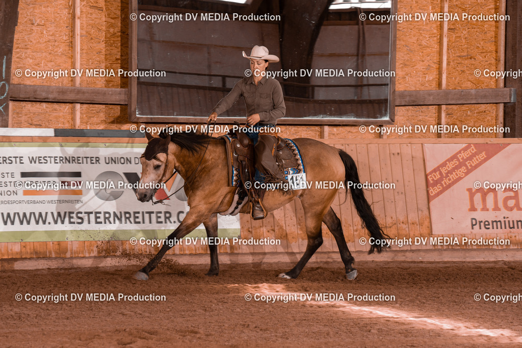 NE100639 | dv-media-shop - Realisiert mit Pictrs.com