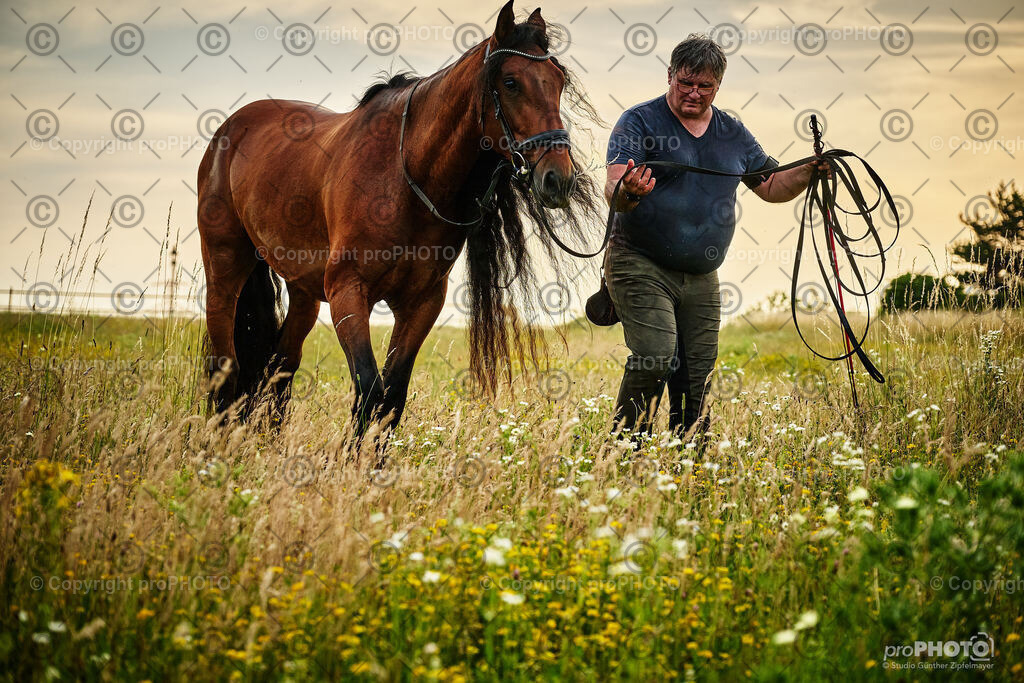 104_202406_Niki-Herodes_NZ9_9858 | proPHOTO - Realisiert mit Pictrs.com