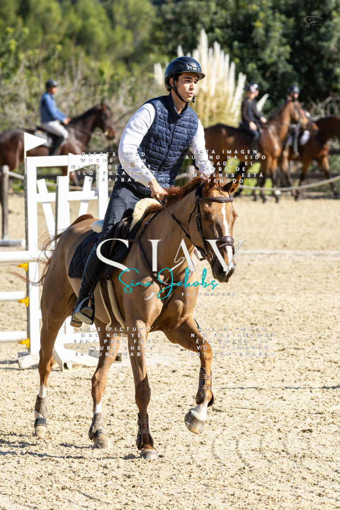 IMG_4199 | s-jay-photography - Realisiert mit Pictrs.com